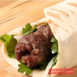Hummus Meat Kebab Sandwich